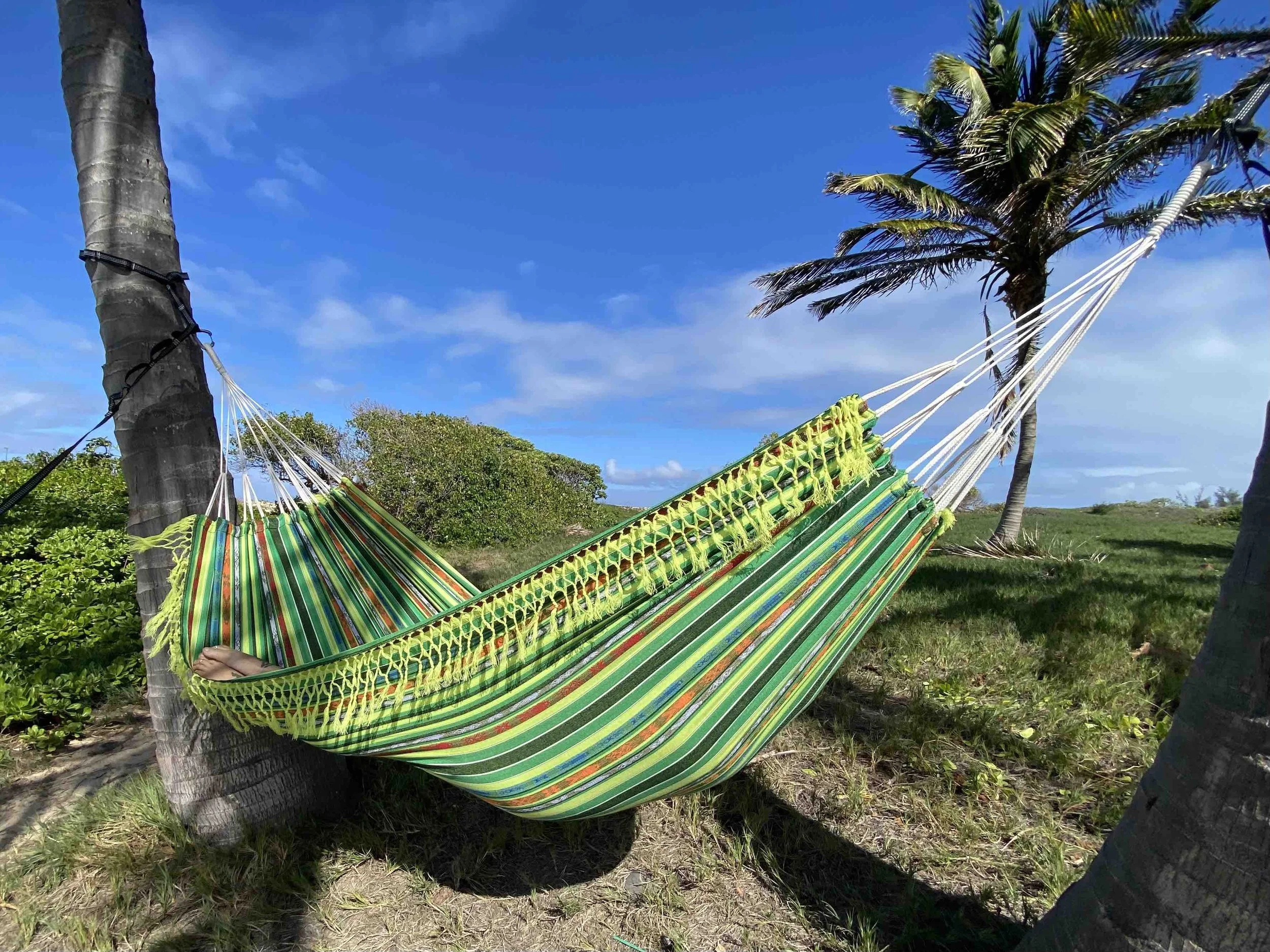 HAMMOCKS — Hangloose Hammocks Hawaii